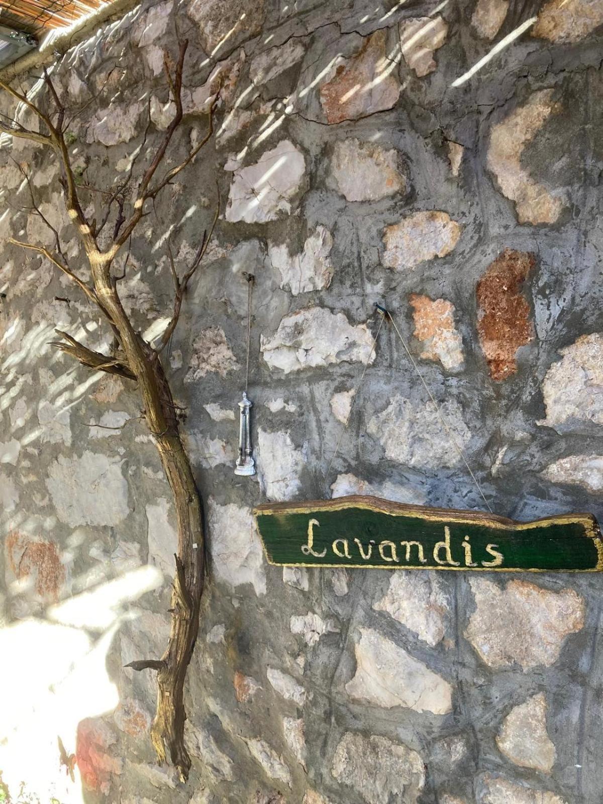 Apartments Lavandis 穆泰尔岛 外观 照片